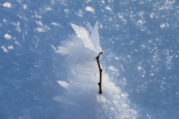 С. Смольянинов "Мистер-снегопад" иллюстрации