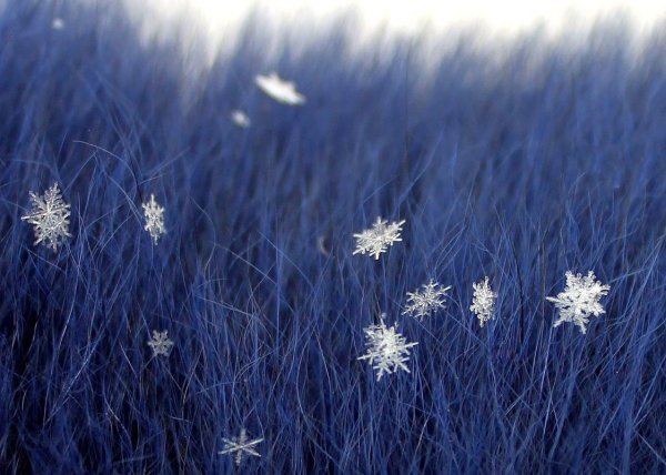 Снежинки на ладони падают