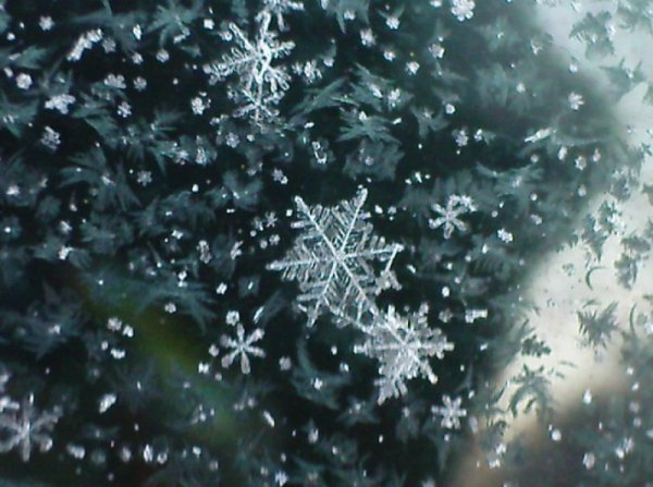 Анимированная метель