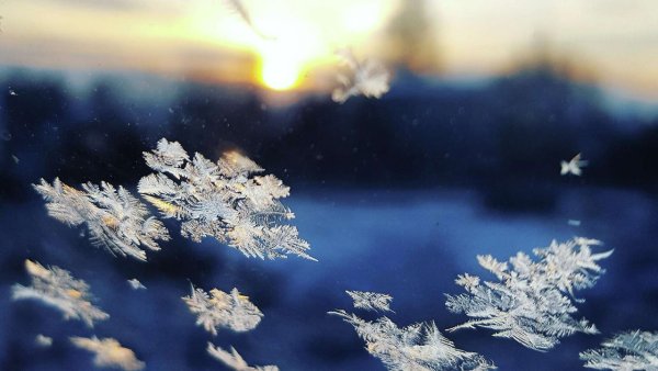 Падающий снег