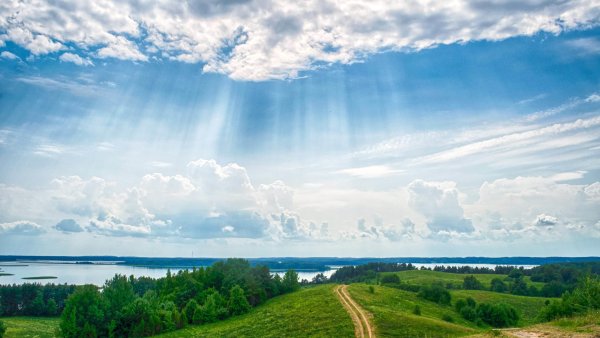 День Победы голубь мира