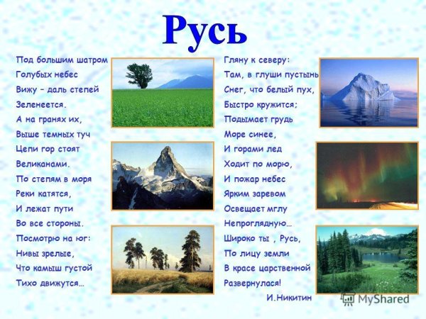 Никитин под большим шатром голубых небес