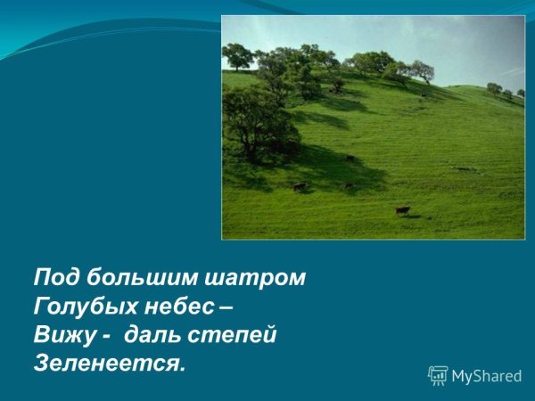 Под большим шатром