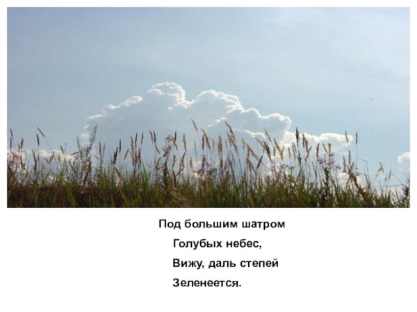 Под большим шатром голубых небес вижу даль степей Зеленеется