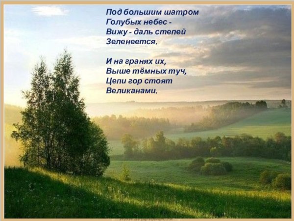 Даль степей Зеленеется