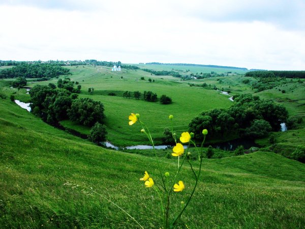 Под большим шатром голубых небес стихотворение
