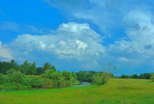 Стихотворение Ивана Саввича Никитина Русь