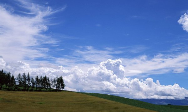 Яркое солнце