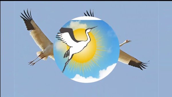 Переменная облачность мультик 2016