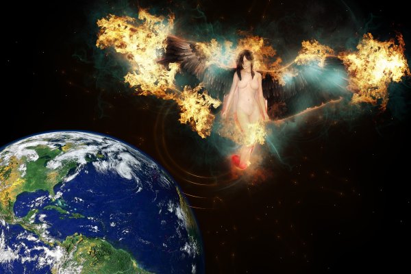 Птицы небесные