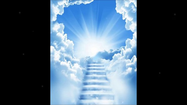 Уходит в небо