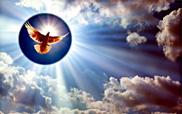 Стихи в память о папе