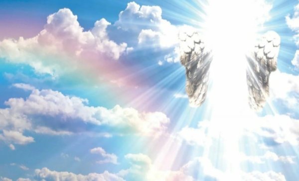 Стихи о собаке ушедшей на радугу