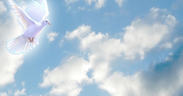 Голубое небо с голубями