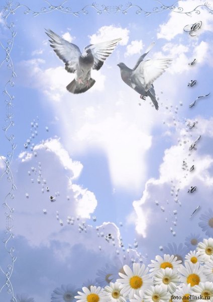 Голубь в облаках