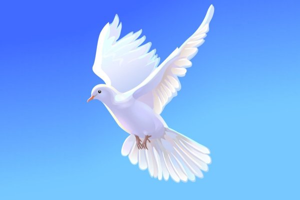 Голуби в небе