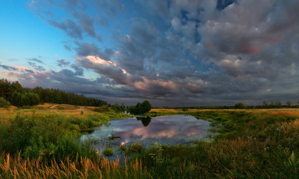Река в поле
