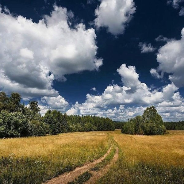 Деревенская тропинка