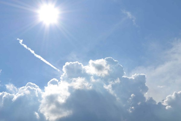 Небо вид снизу вверх