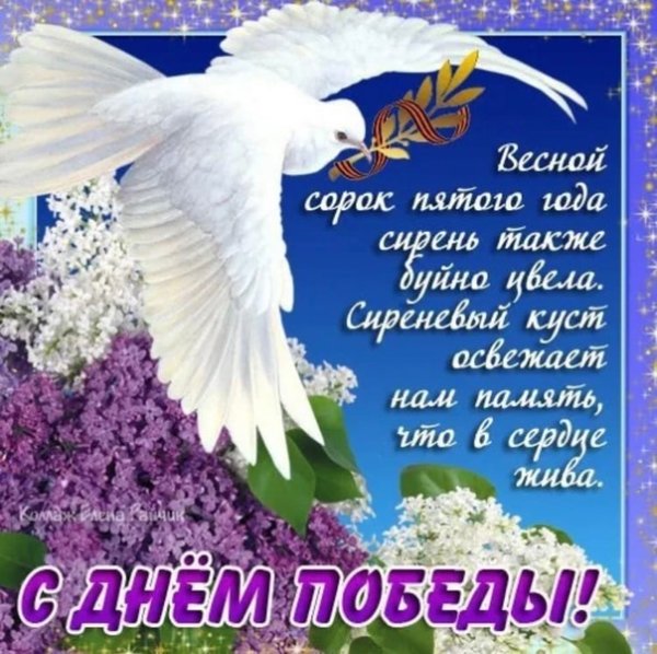 Мирного неба над головой