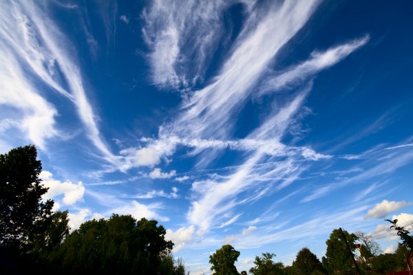 Густая Небесная синева