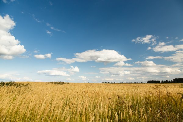 Вечернее небо
