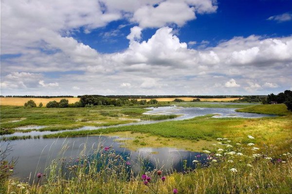 Родные просторы природа родного села