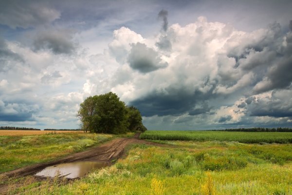 Природа Костромской области