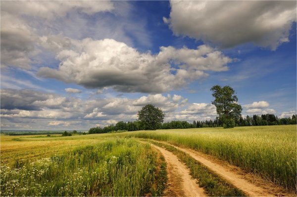 Природа Зауралья Курганская область