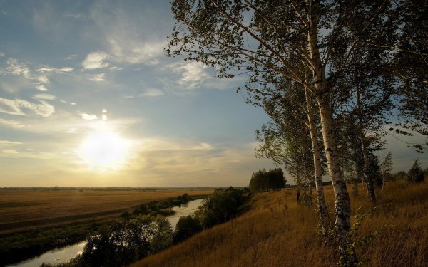 Стихи в память о папе