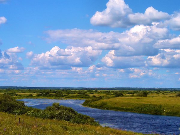 Луга Ярославской области