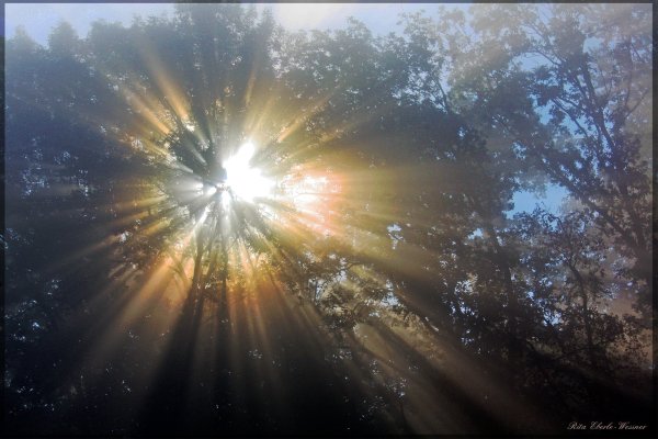 Божественный Луч света