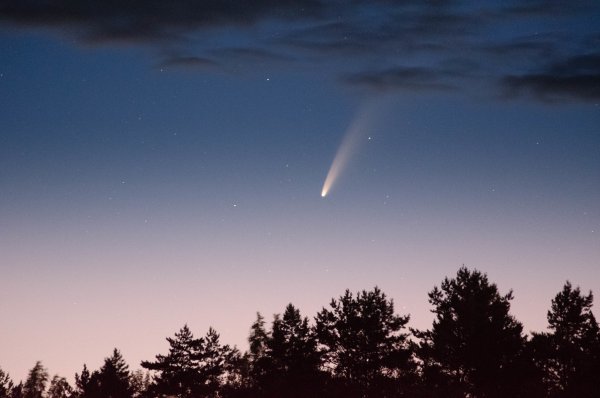 Комета c/2020 f3