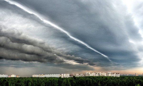 Мигель Анхель Хопп