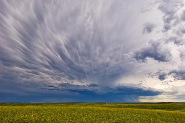 Рената Блюме Рид