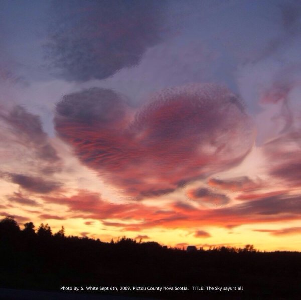 Фотограф Мелисса Винсент