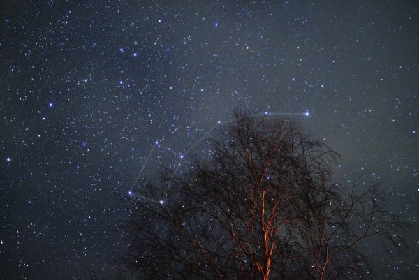 Звездное небо Полярная звезда созвездия