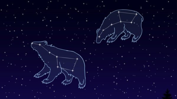 Большая Медведица Созвездие звезды