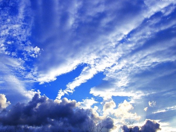 Cirrus перистые облака