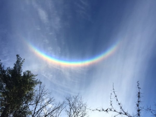 Яркое веселое солнышко