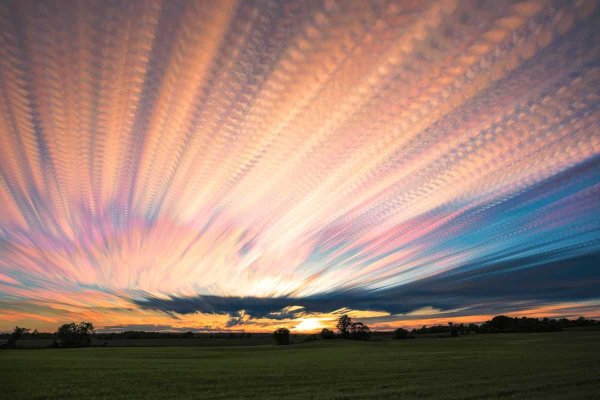 Ванильный рассвет