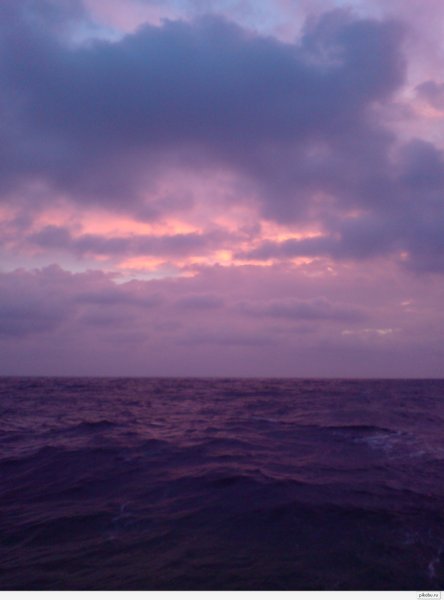 Розовое облако