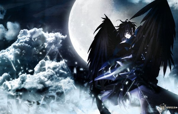 Чернокрылый Король аниме