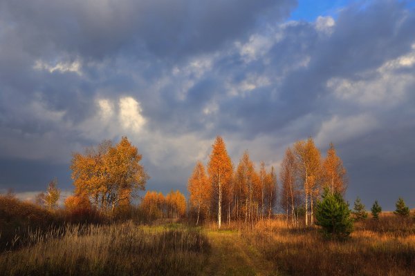 Хмурая осень