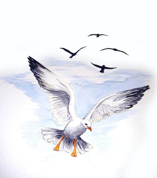 Птицы в небе Графика