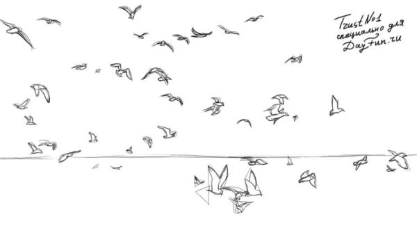 Птицы в небе раскраска