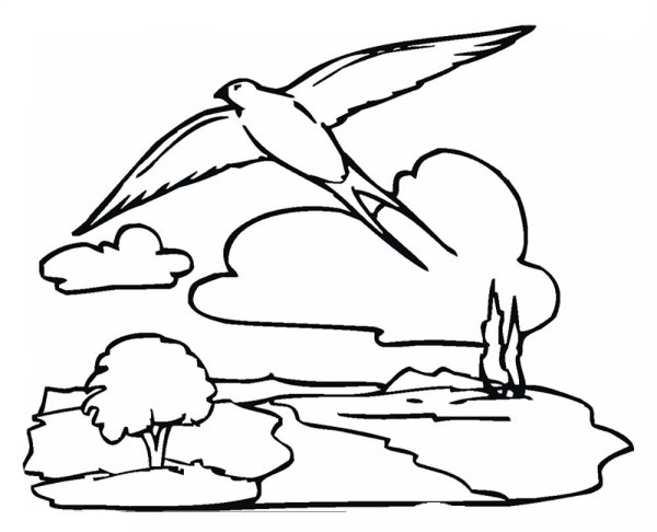 Чайки схематично