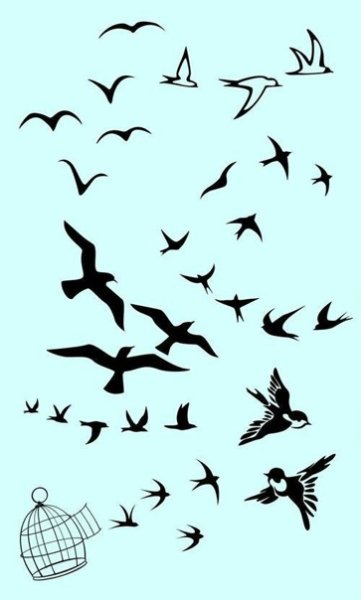 Птица летит