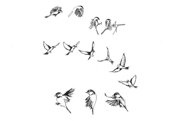 Рисуем летящую птицу