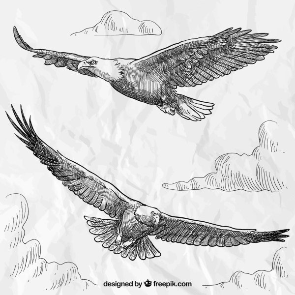 Птицы в небе живопись